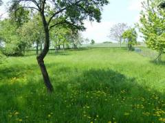 Vorschau Objekt oz06279