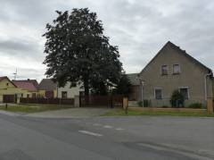 Vorschau Objekt ee06288