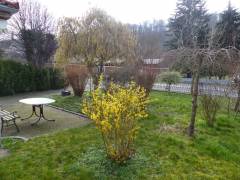 Vorschau Objekt: Vorgarten 