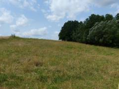 Vorschau Objekt: land. Fläche am Ortsrand 
