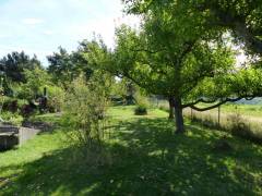 Vorschau Objekt: Garten 