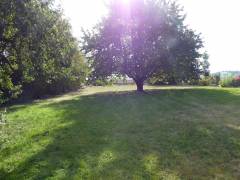 Vorschau Objekt: Garten 