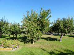 Vorschau Objekt: Garten 