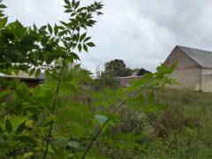 Vorschau Objekt: Garten 