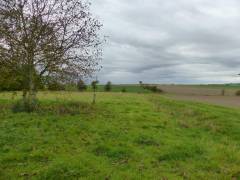 Vorschau Objekt: Grundstück 