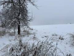 Vorschau Objekt: Grundstück 