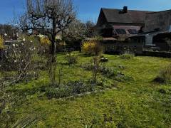 Vorschau Objekt: Garten 