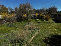 Vorschau Objekt: Garten 