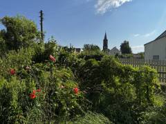 Vorschau Objekt: Garten 
