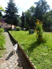 Vorschau Objekt: Zugang zum Garten 